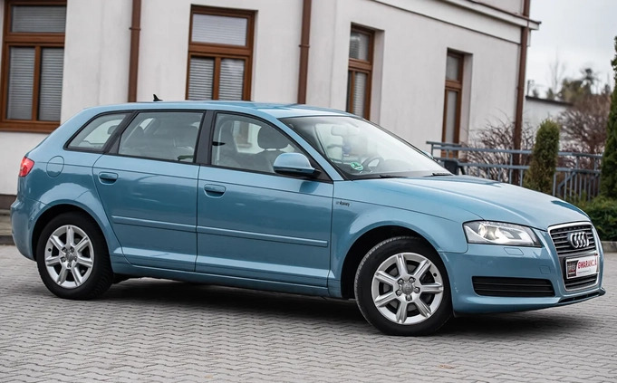 Audi A3 cena 31000 przebieg: 262122, rok produkcji 2010 z Jedlicze małe 379